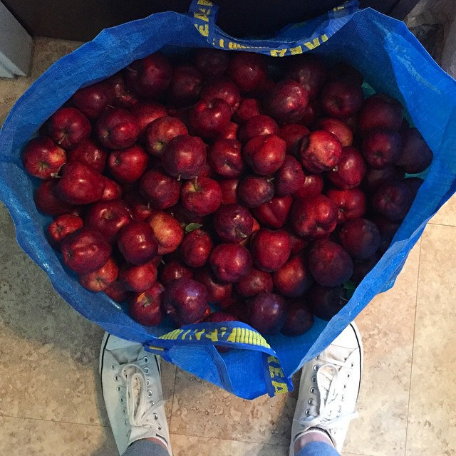 This has to be a bushel of apples, right? | This American House